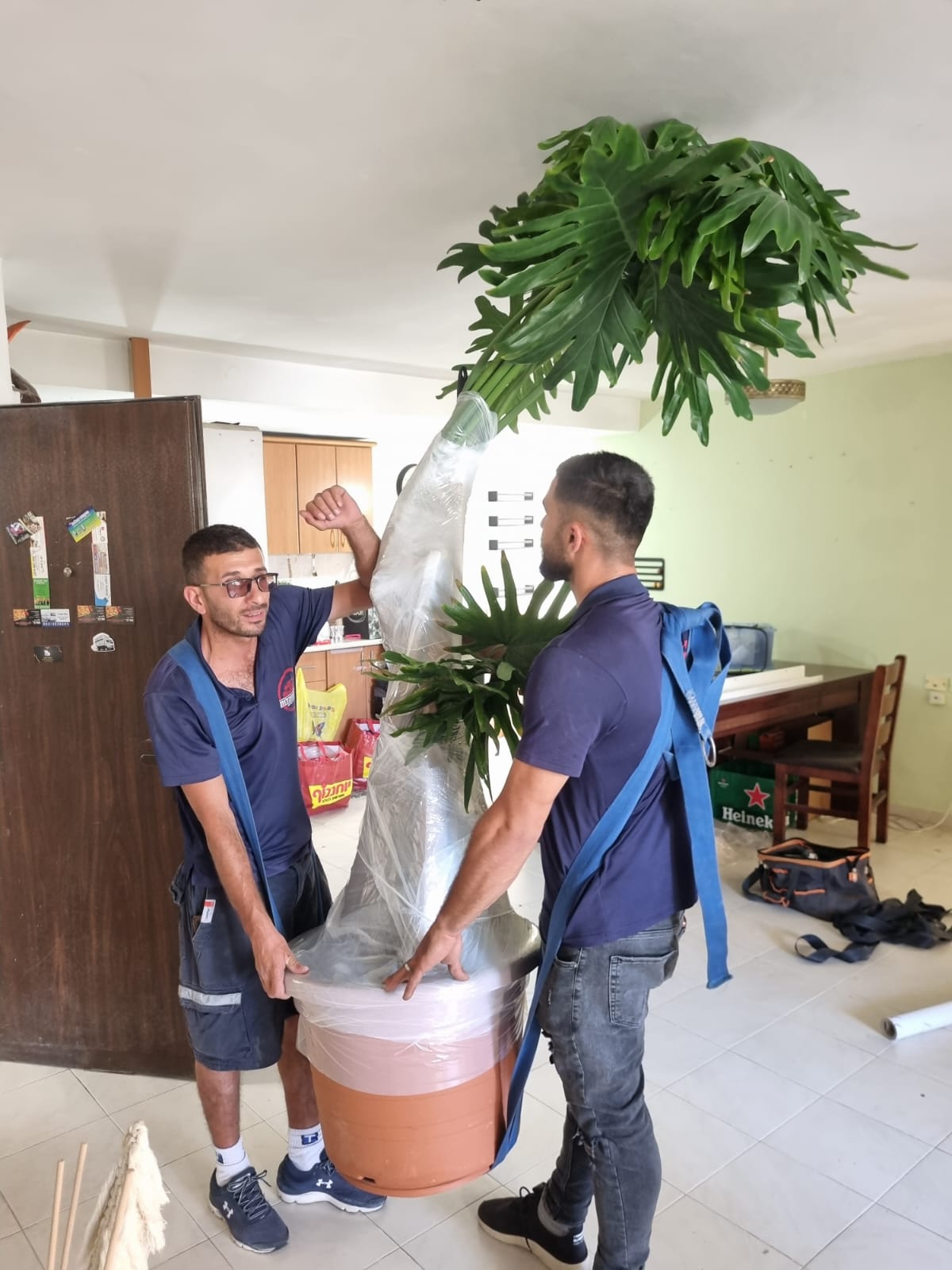 אריזה מקצועית